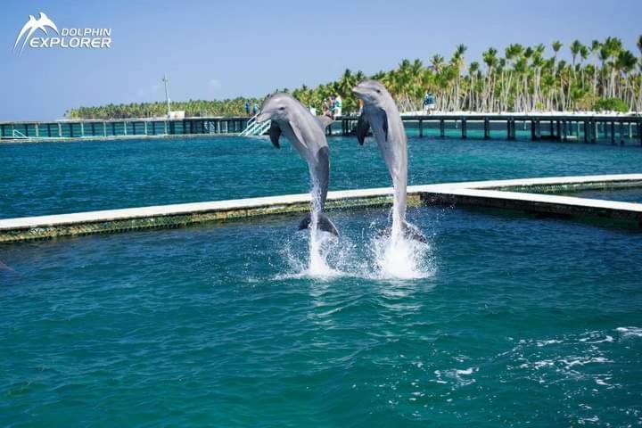 Punta Cana Sol Caribe Beach Pool מראה חיצוני תמונה